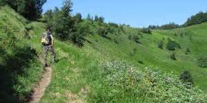 Monte cimone