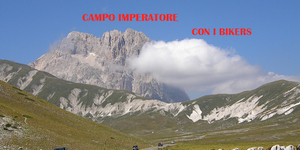 Campo2