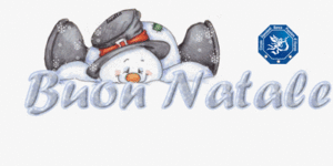 Bnatale fin