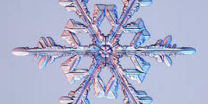 Fiocche di neve