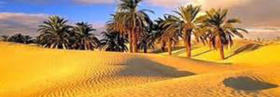 Piste berbere12