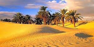 Piste berbere12