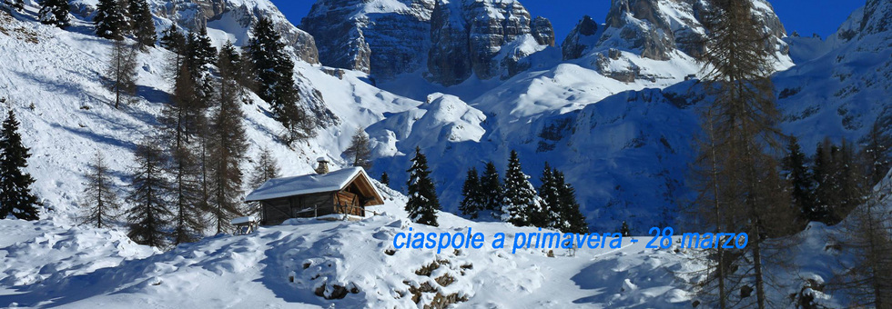 Ciaspole