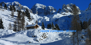Ciaspole