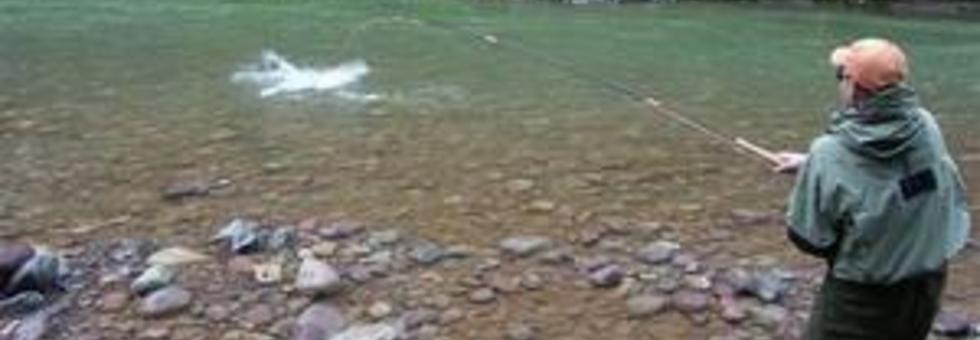 Pesca alla trota con la tremarella ce0f4f2107dff5431acf472f0c127741 1 