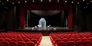 Teatro vicenza