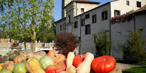 Berici